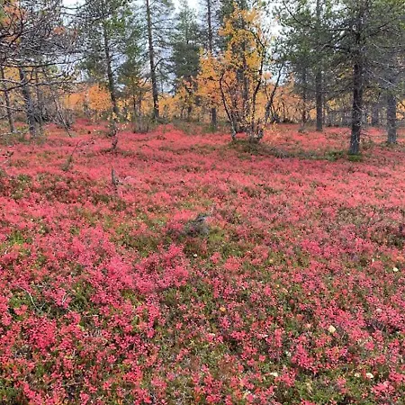 Дом отдыха Kevaetruska B By Interhome